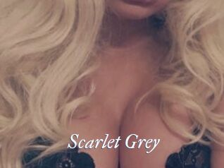 Scarlet_Grey