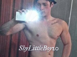 ShyLittleBoy20