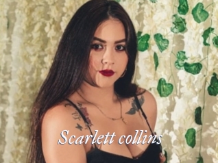 Scarlett_collins