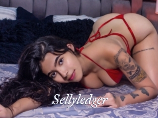 Sellyledger