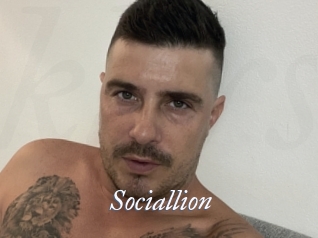 Sociallion