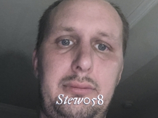 Stew058