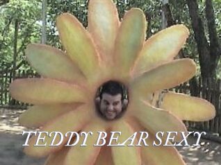 TEDDY_BEAR_SEXY