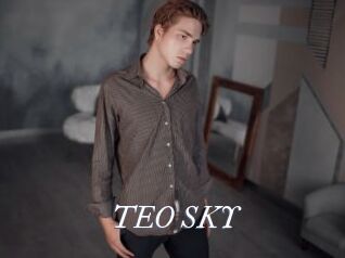 TEO_SKY