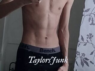 TaylorsJunk