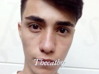 Thecatboy