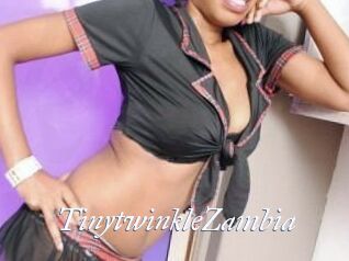 TinytwinkleZambia