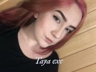 Taya_exe