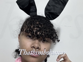 Thatbimbobunny