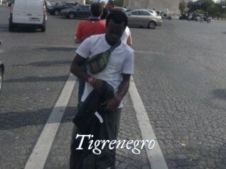 Tigrenegro