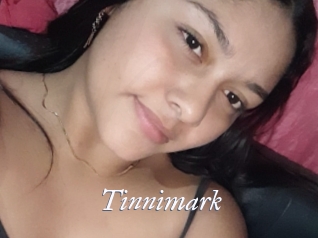 Tinnimark