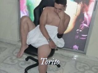 Torito