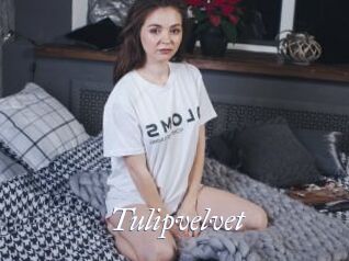 Tulipvelvet