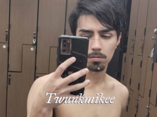 Twunkmikee