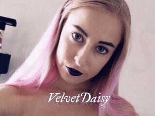 VelvetDaisy