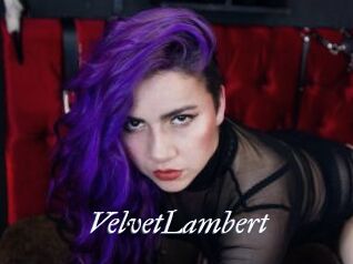 VelvetLambert