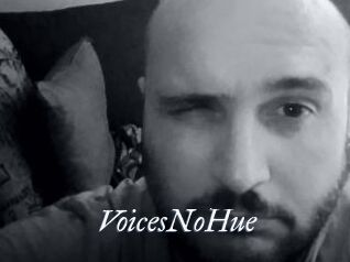 VoicesNoHue