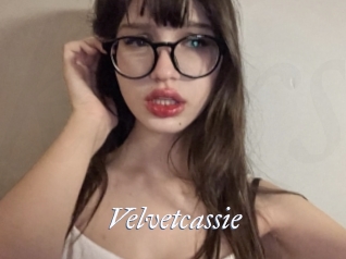 Velvetcassie