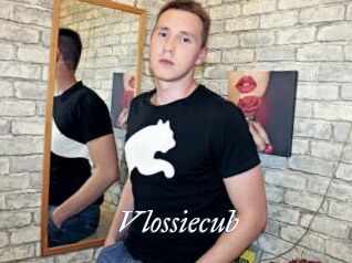 Vlossiecub