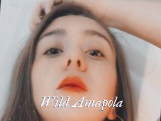 Wild_Amapola