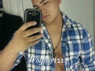 Wolfboy1213