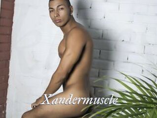 Xandermuscle