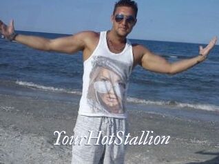 YourHotStallion