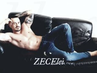 ZECElei